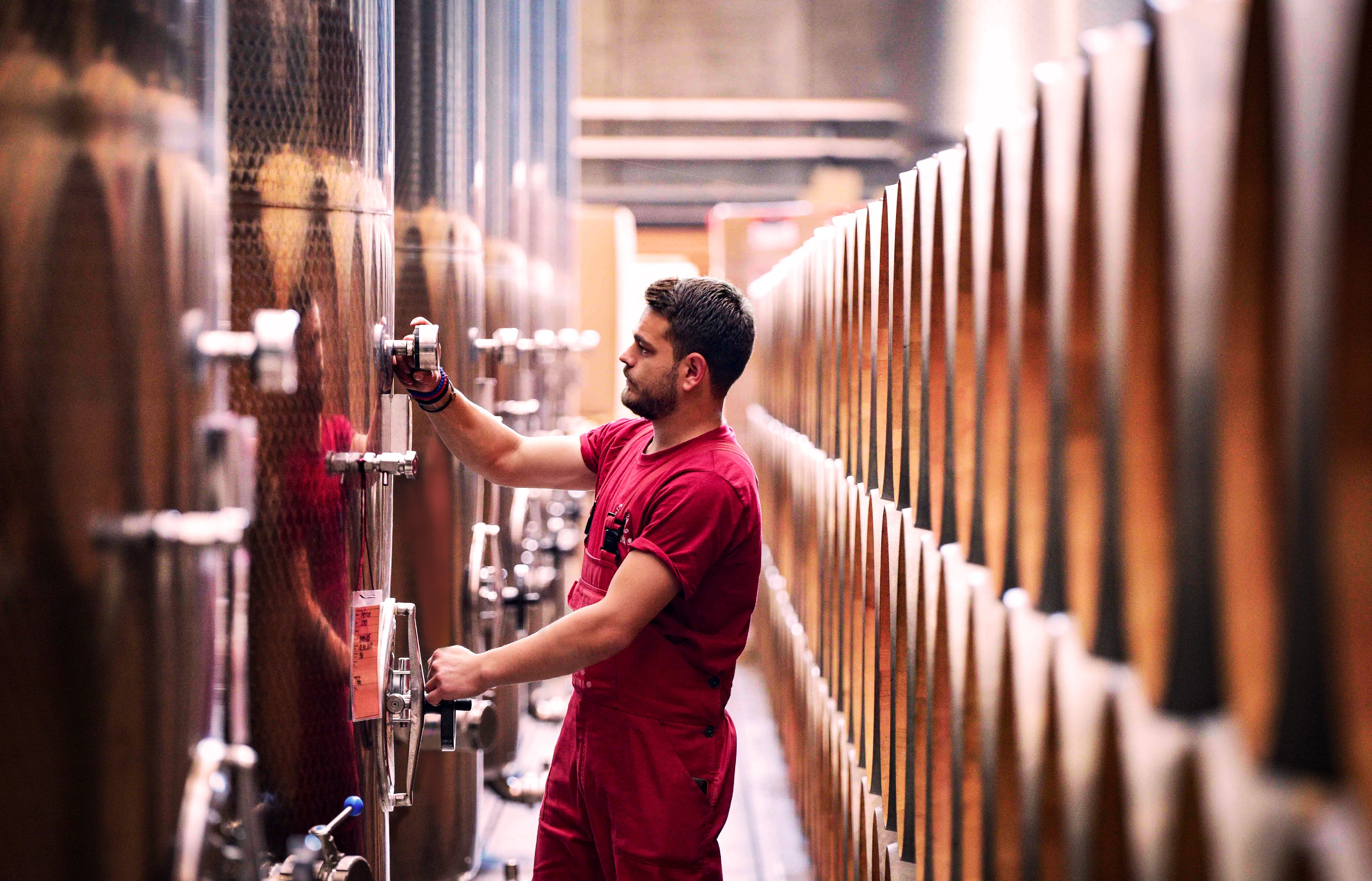 Touch vinarija