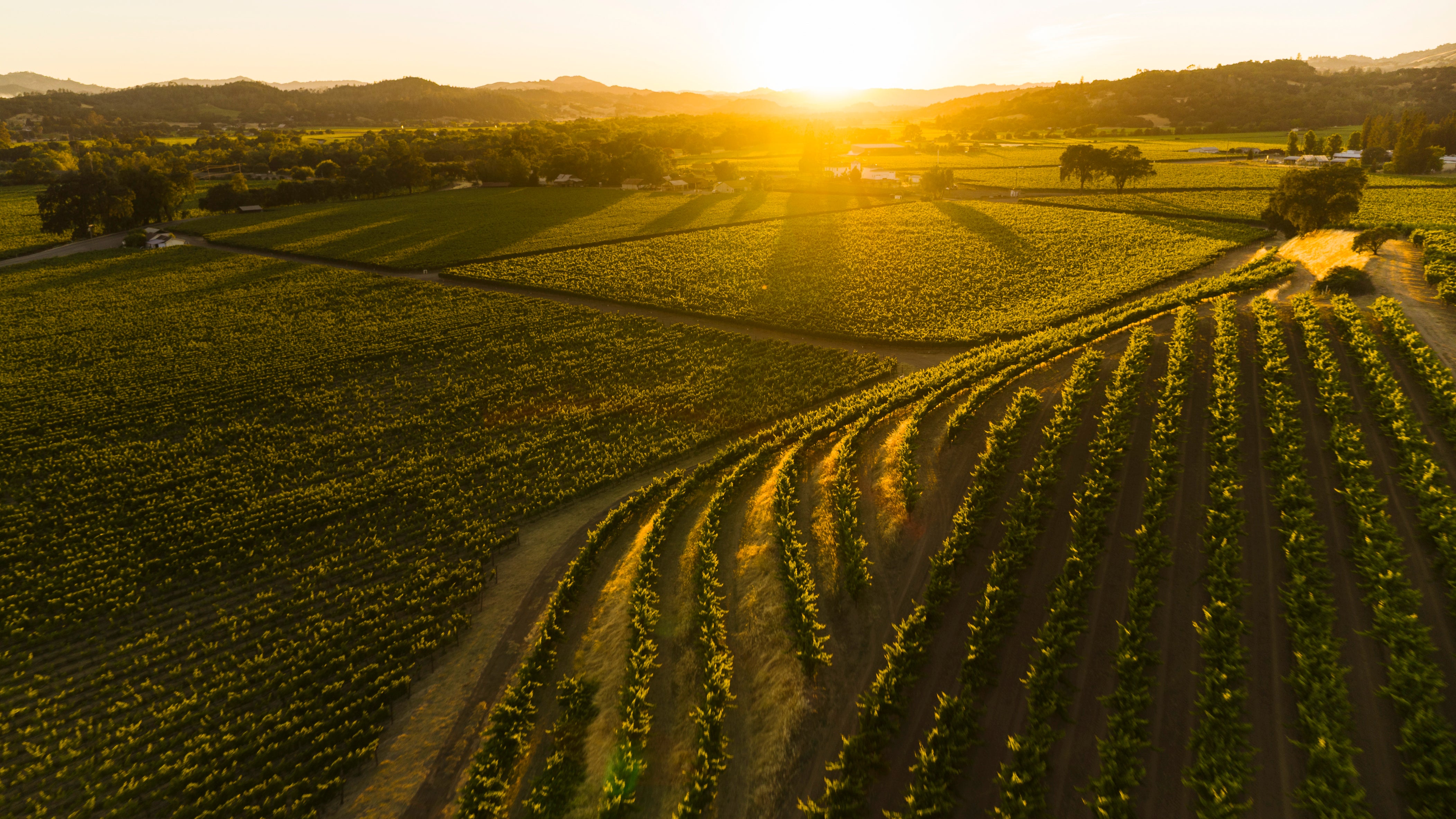 Touch Wine Terroir